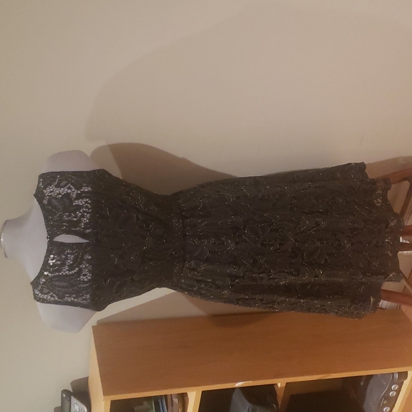 Monteau lace dress - Picture 5 of 6